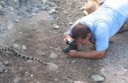 Photography workshop instructor Dan Cotton photographing a California King Snake