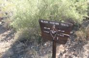 Black Canyon Trail