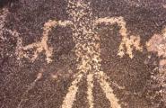 Shaman or chieftan petroglyph with headress