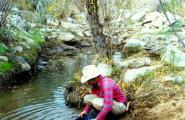 Prospector panning for gold