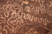 Petroglyph panel